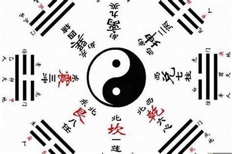 六爻意思|爻